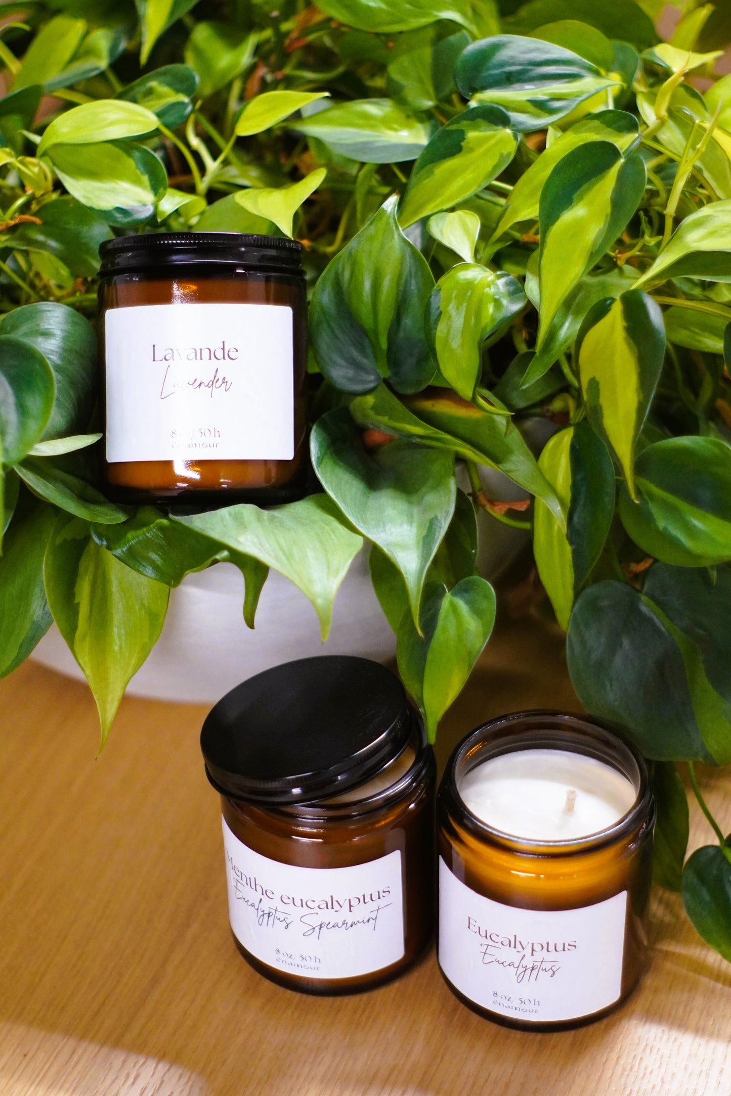 Bougie Lavande