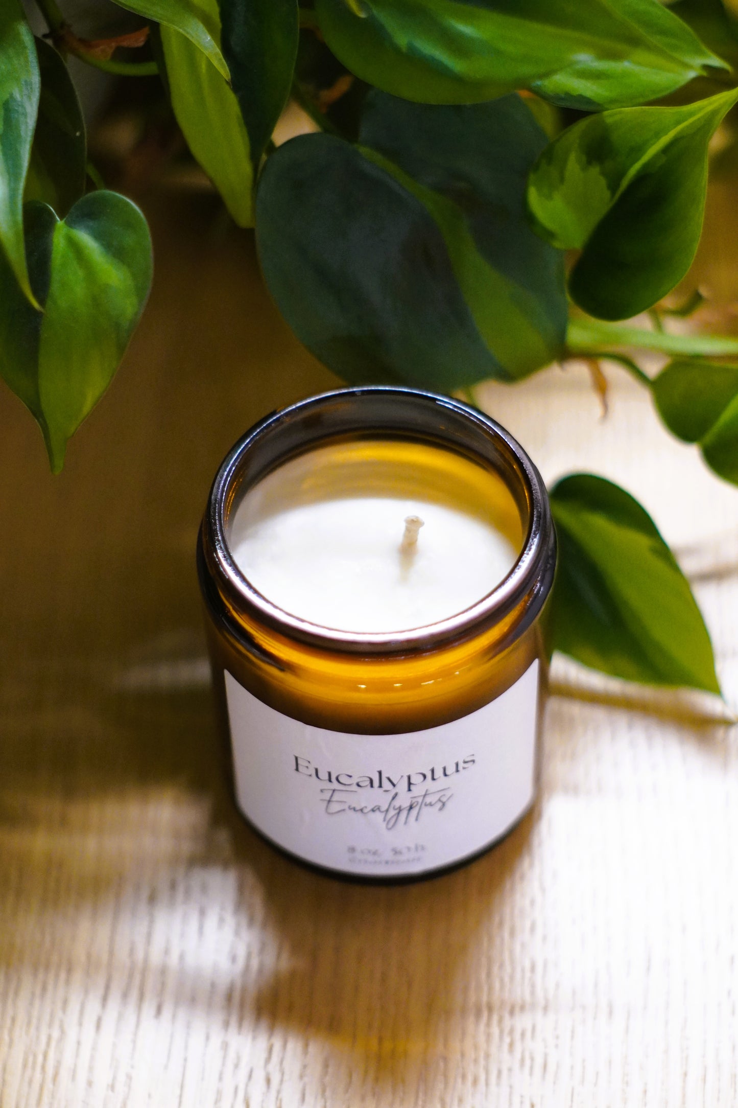 Bougie Eucalyptus