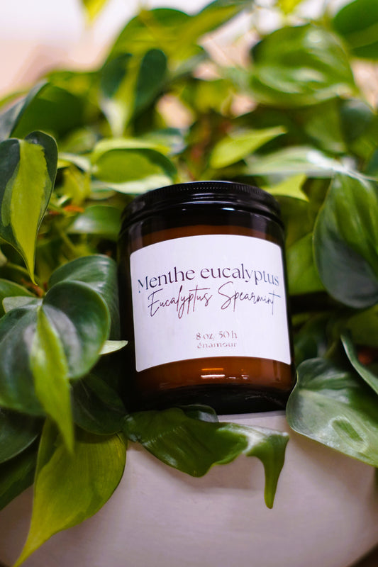 Bougie Menthe eucalyptus